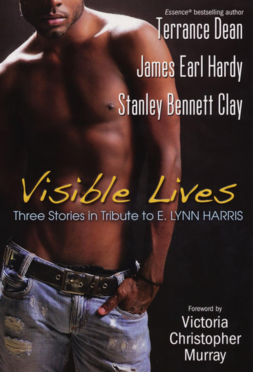 Big bigCover of Visible Lives: