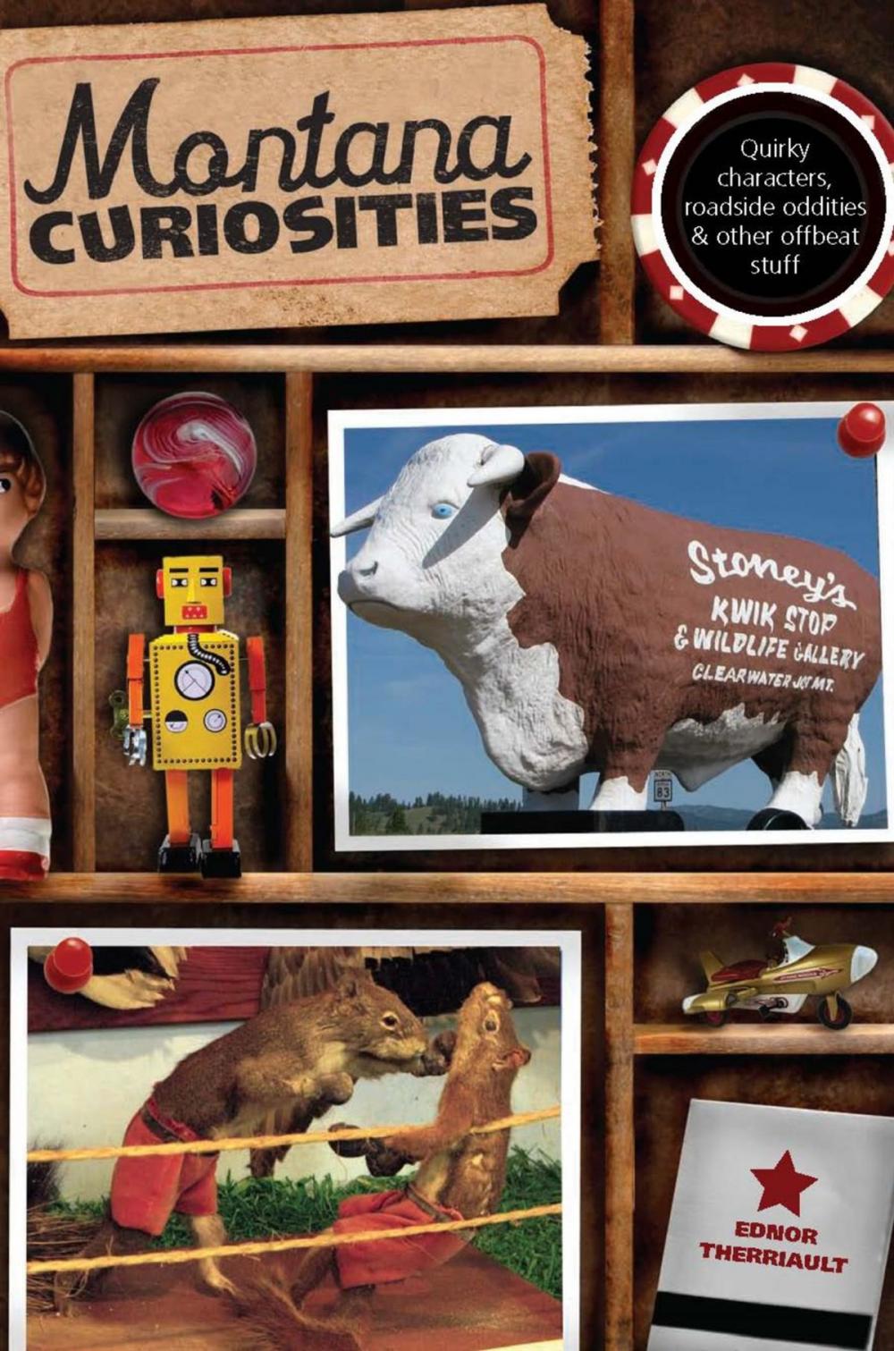 Big bigCover of Montana Curiosities