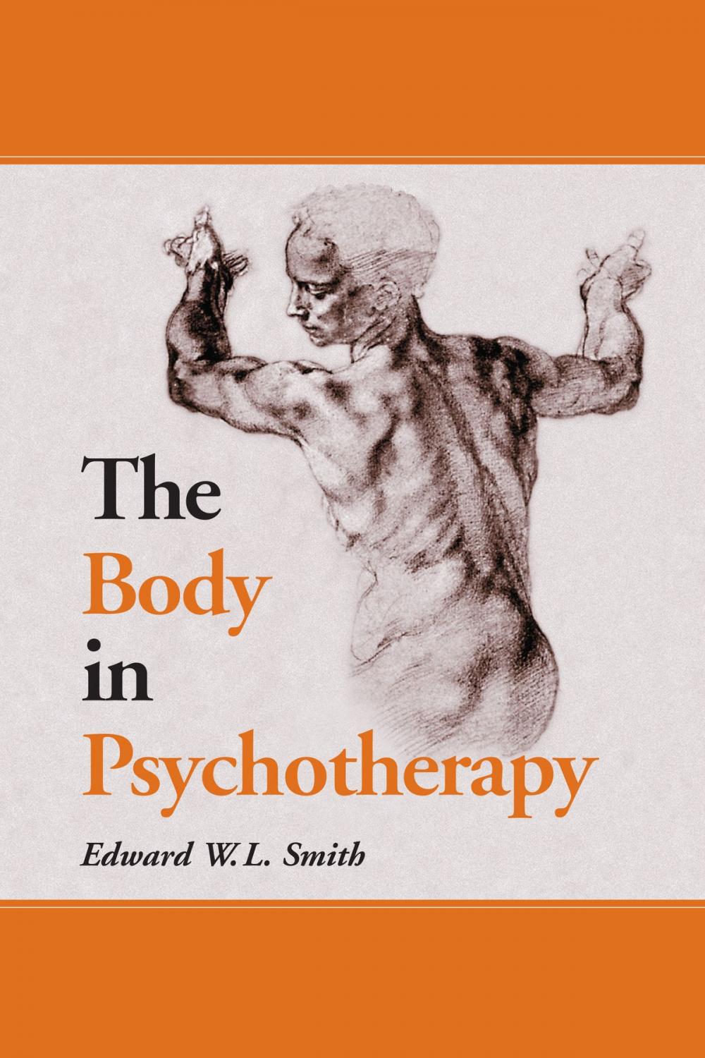 Big bigCover of The Body in Psychotherapy