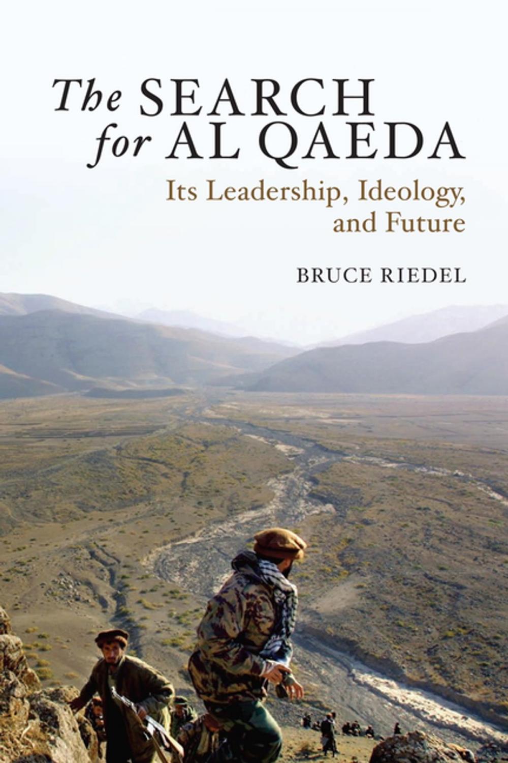 Big bigCover of The Search for Al Qaeda