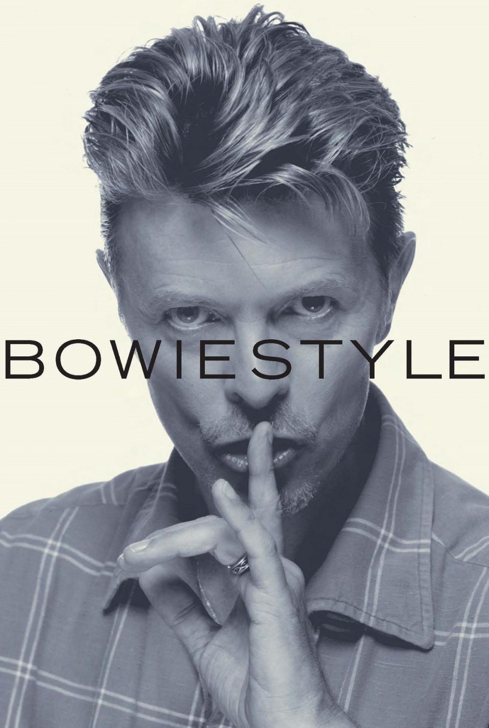 Big bigCover of Bowie Style