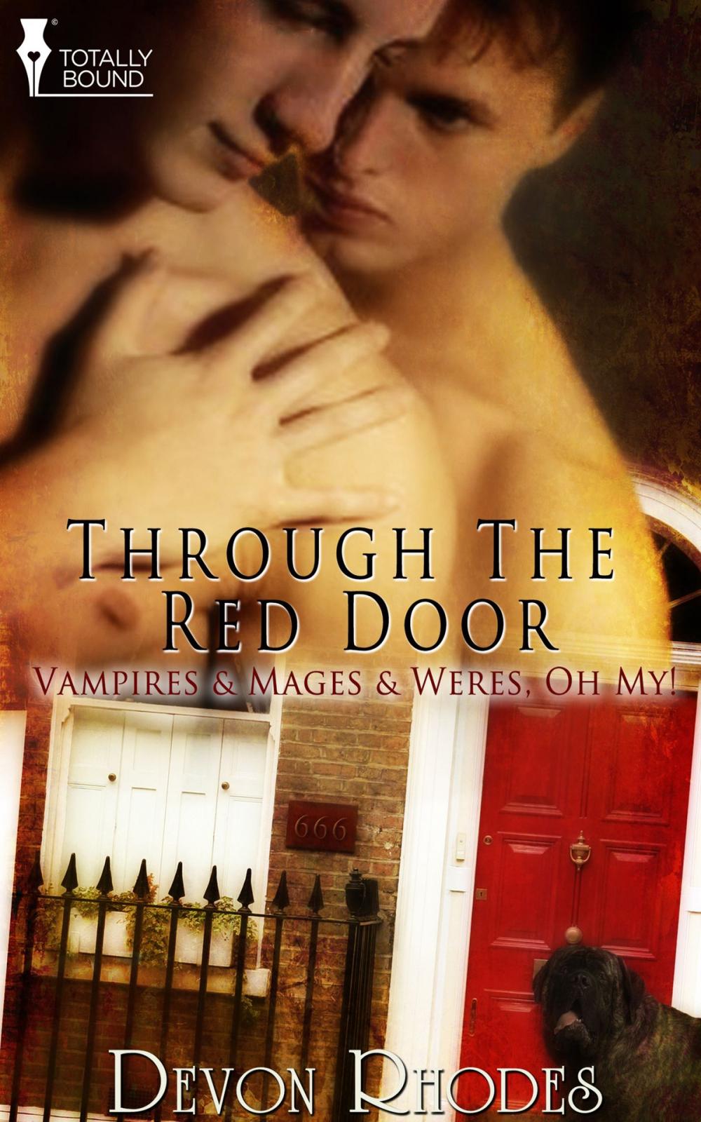 Big bigCover of Through the Red Door