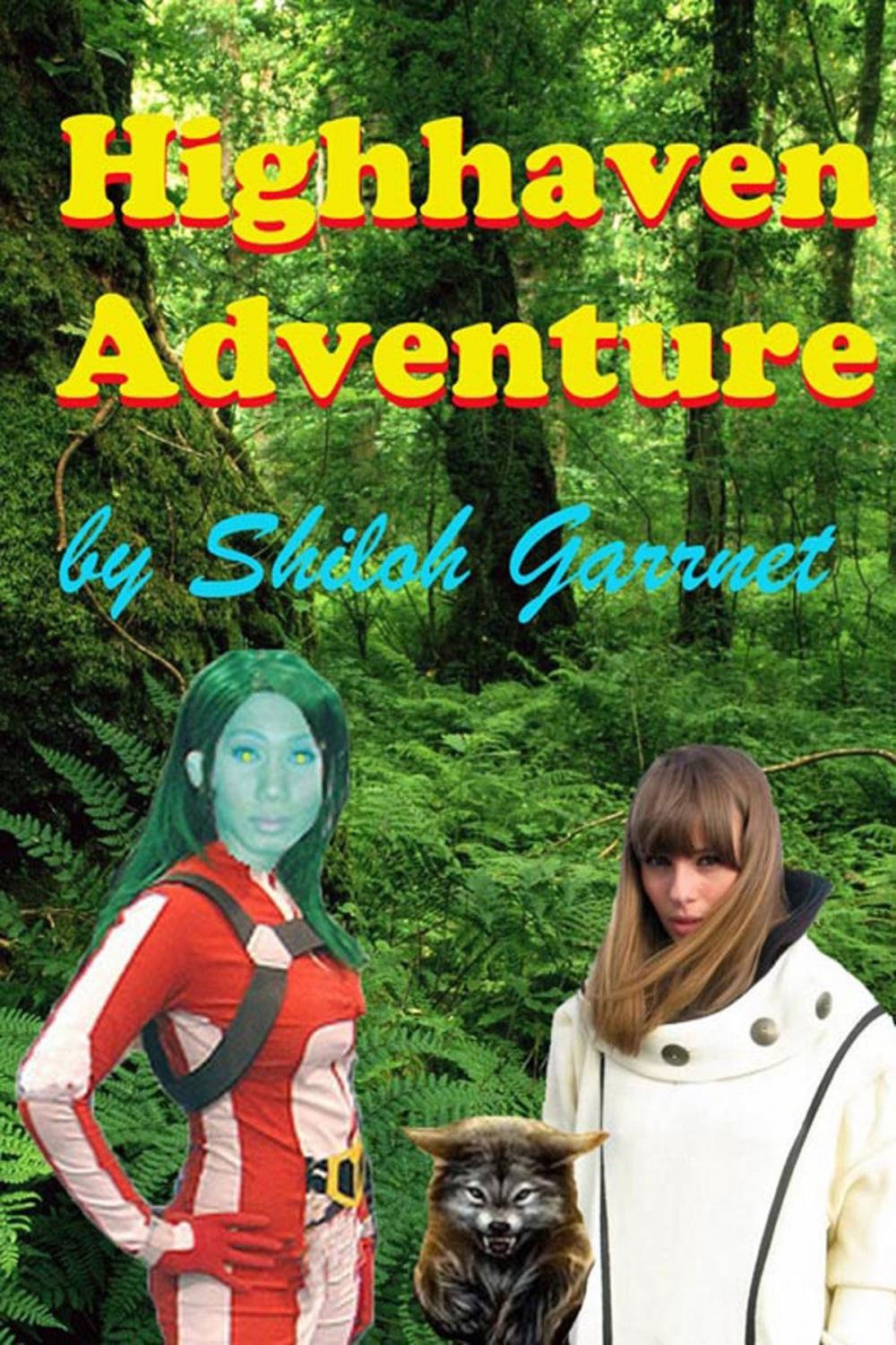 Big bigCover of Highhaven Adventure