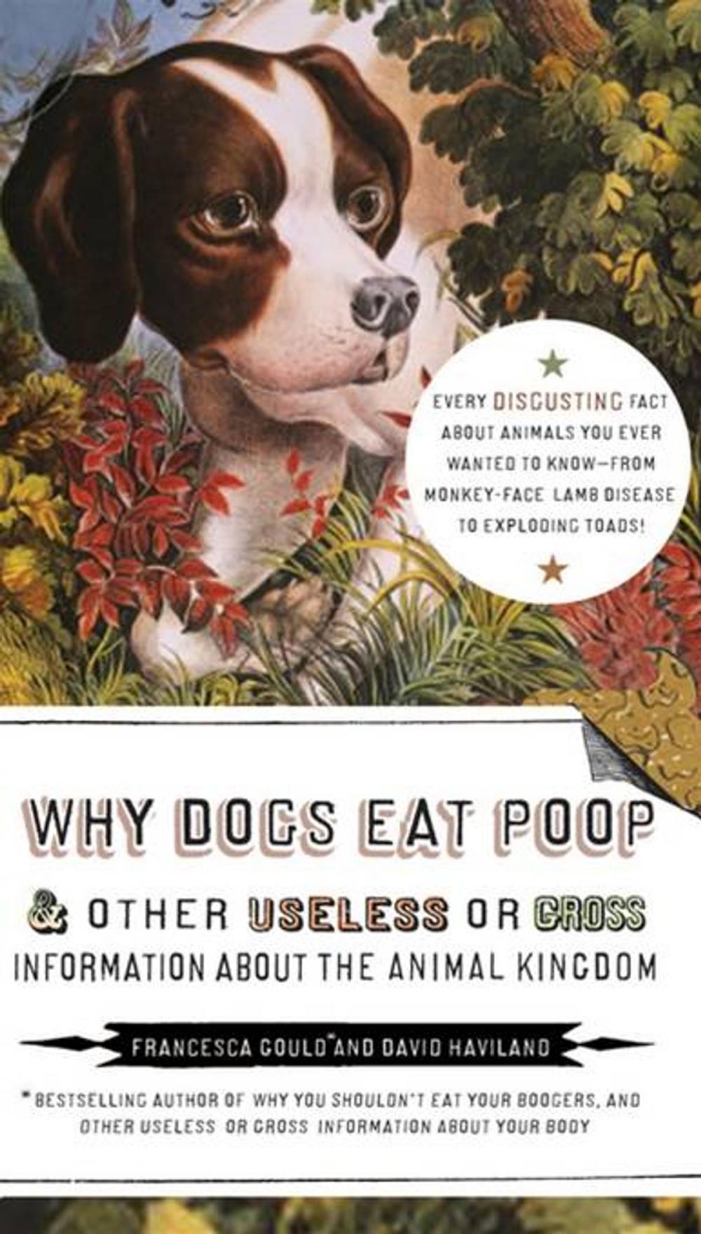 Big bigCover of Why Dogs Eat Poop, and Other Useless or Gross Information About the Animal Kingdom