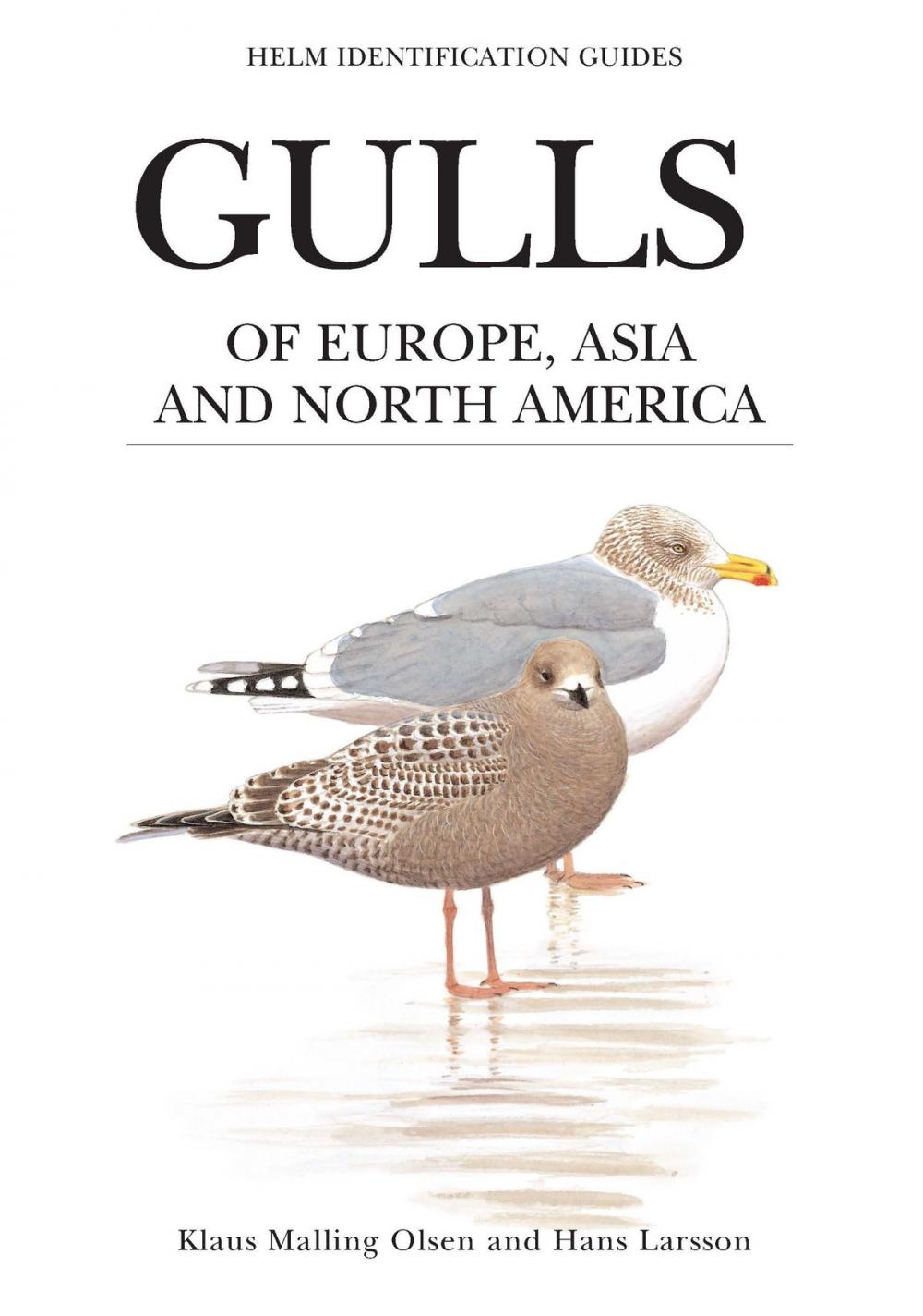 Big bigCover of Gulls of Europe, Asia and North America