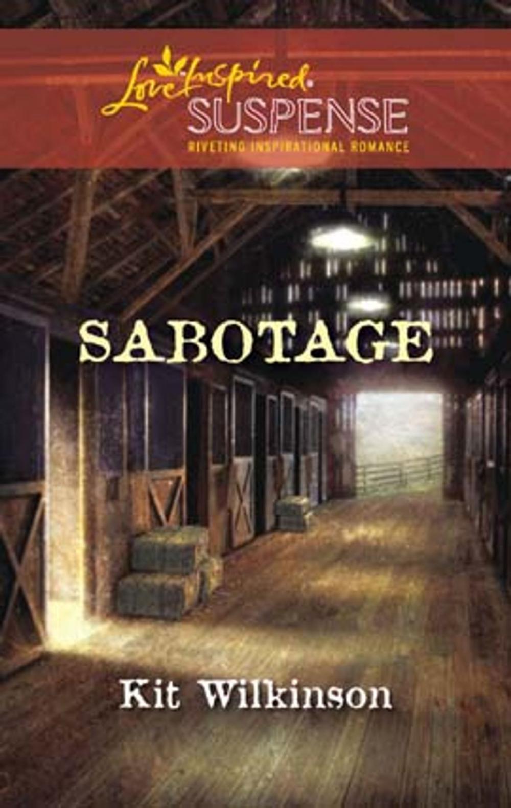 Big bigCover of Sabotage