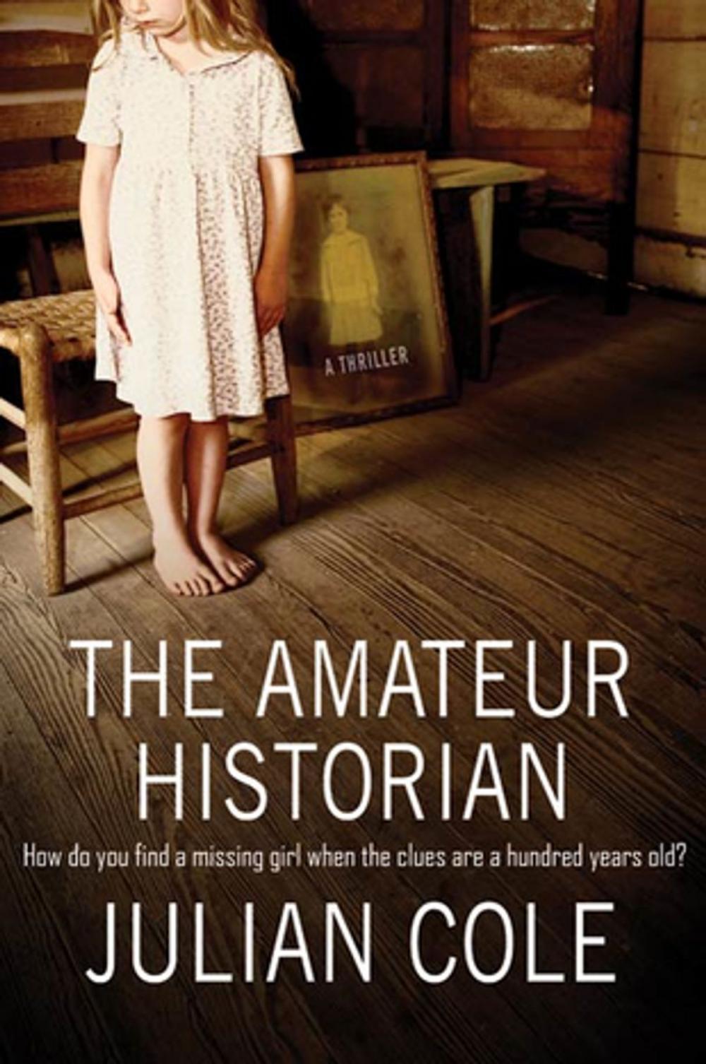 Big bigCover of The Amateur Historian