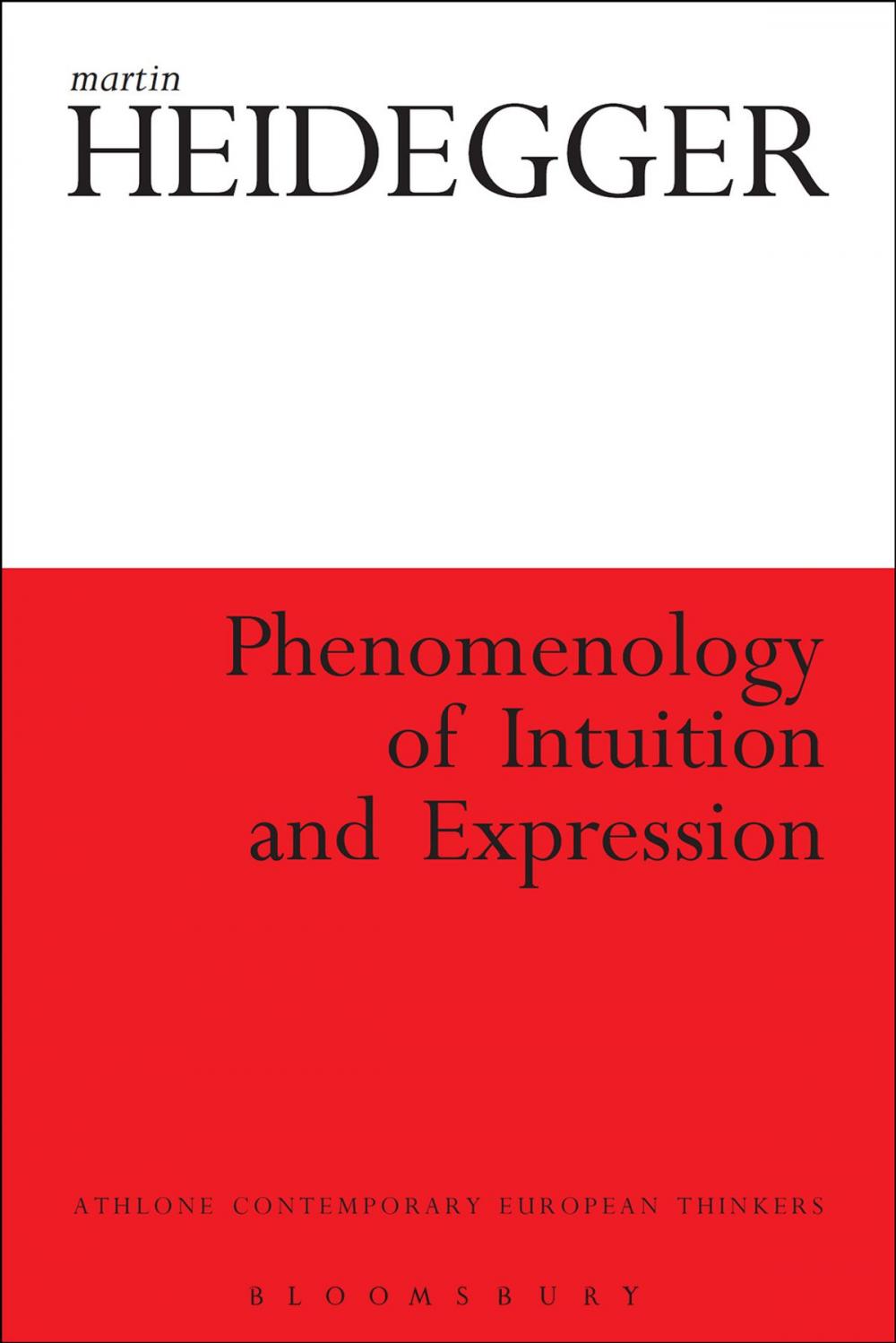 Big bigCover of Phenomenology of Intuition and Expression