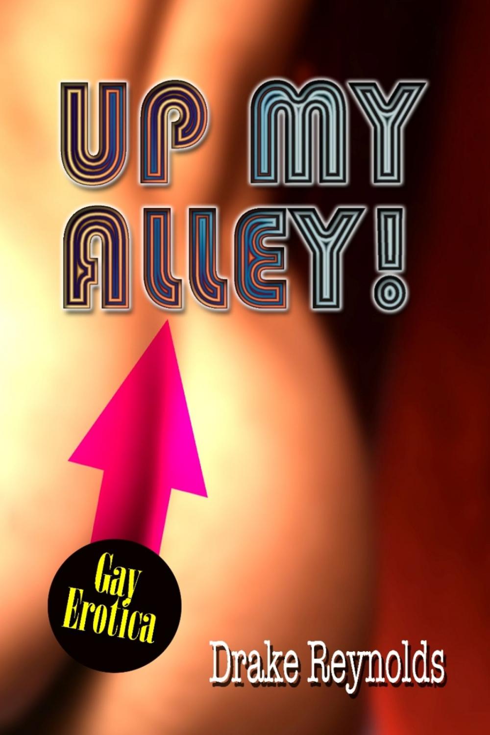 Big bigCover of Up My Alley: Gay Erotica