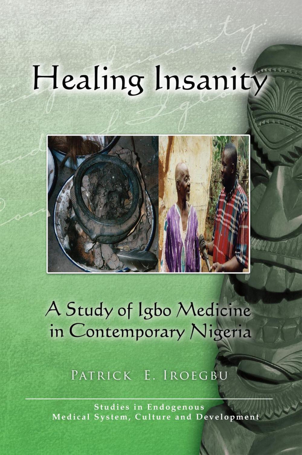 Big bigCover of Healing Insanity: a Study of Igbo Medicine in Contemporary Nigeria