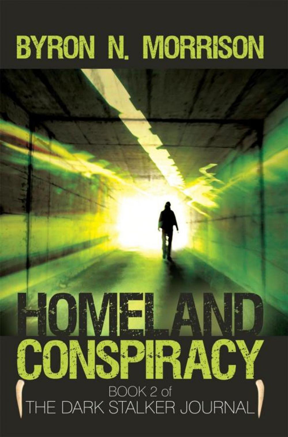 Big bigCover of Homeland Conspiracy