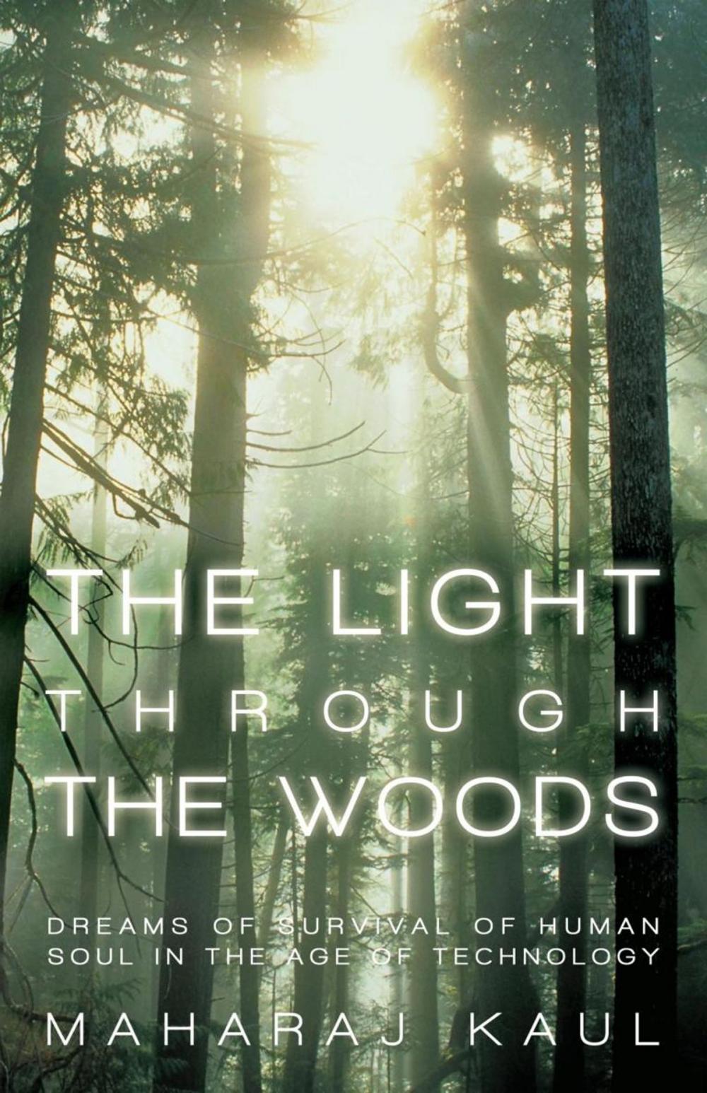 Big bigCover of The Light Through the Woods