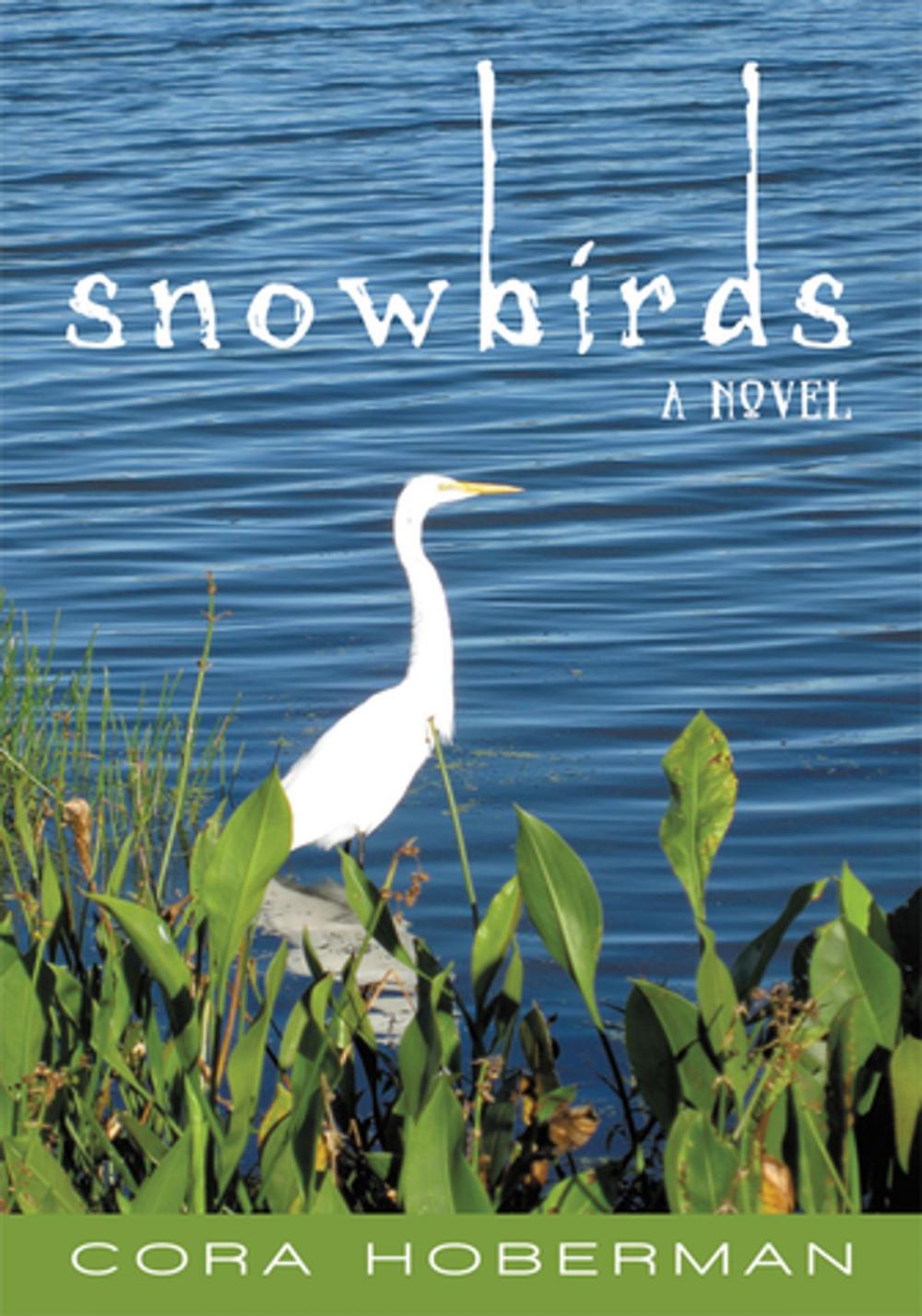 Big bigCover of Snowbirds