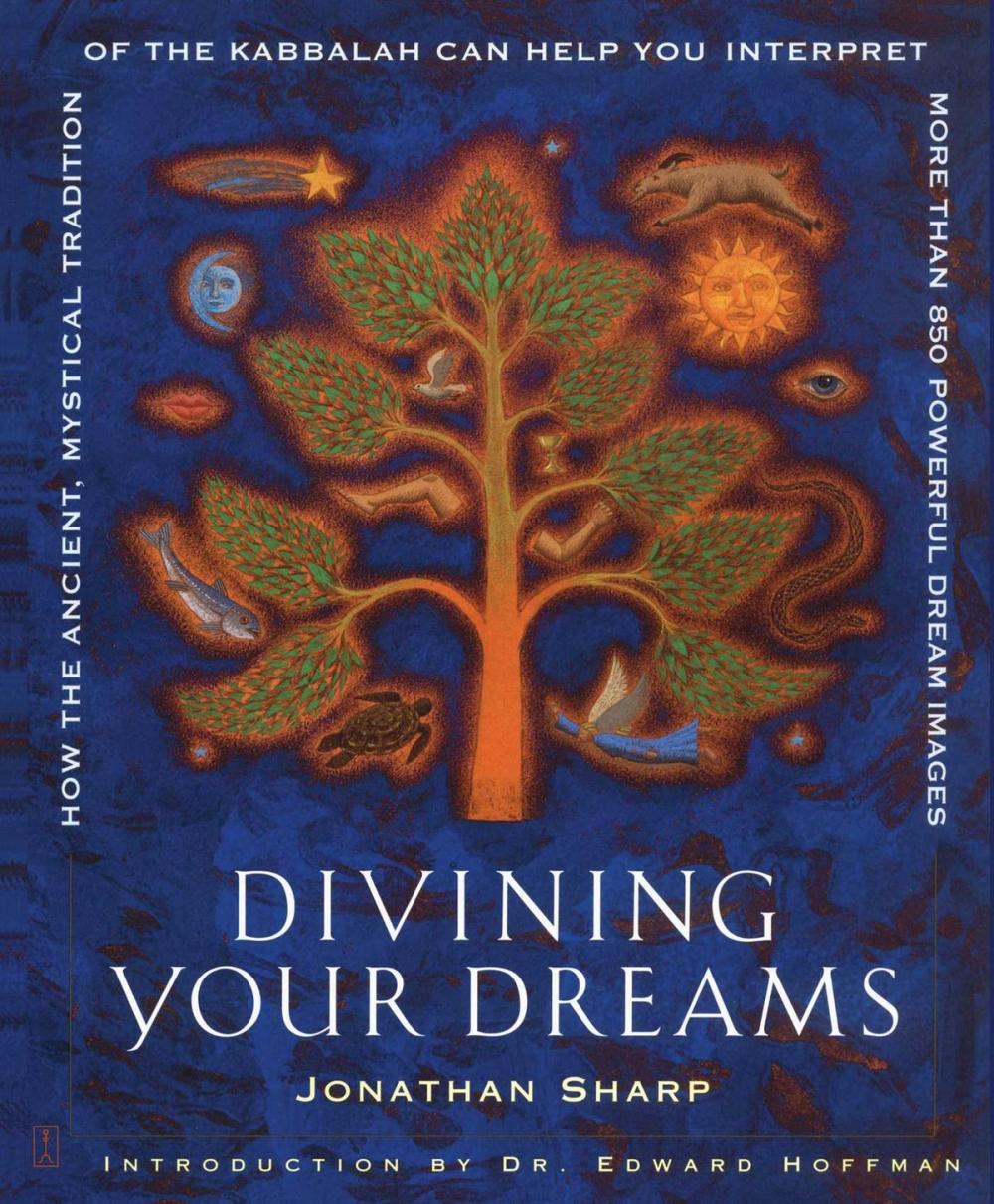 Big bigCover of Divining Your Dreams