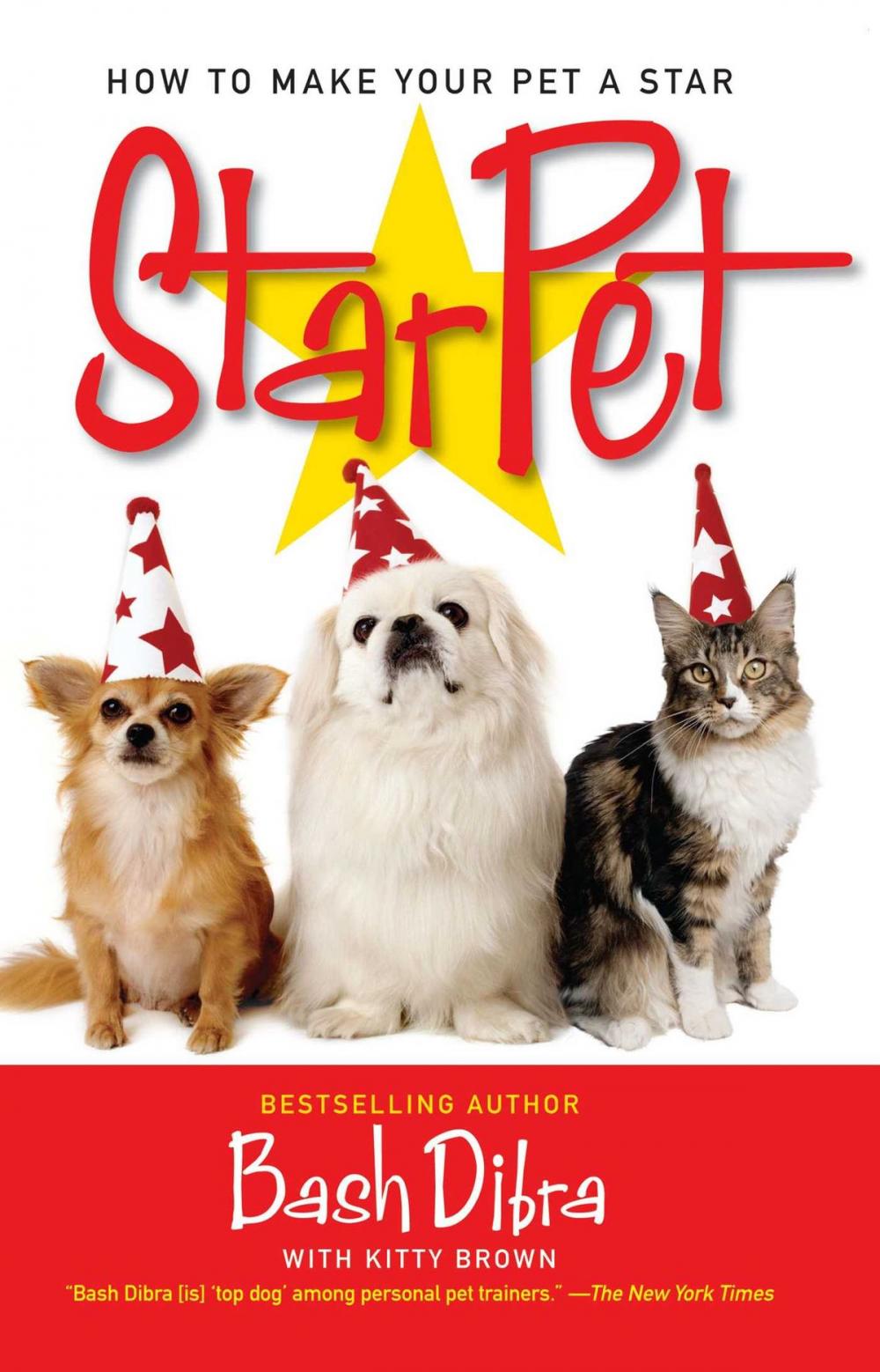 Big bigCover of StarPet