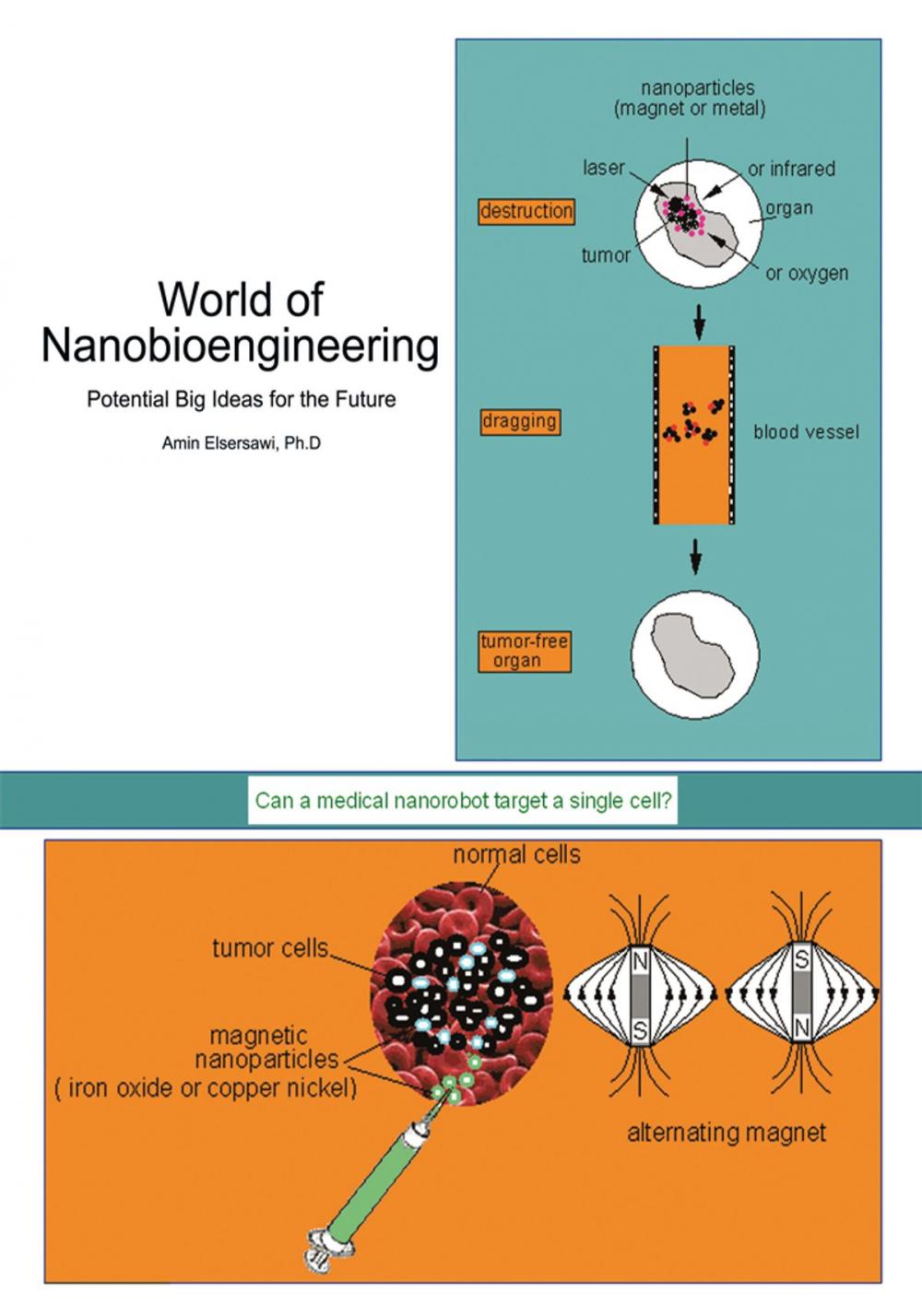 Big bigCover of World of Nanobioengineering