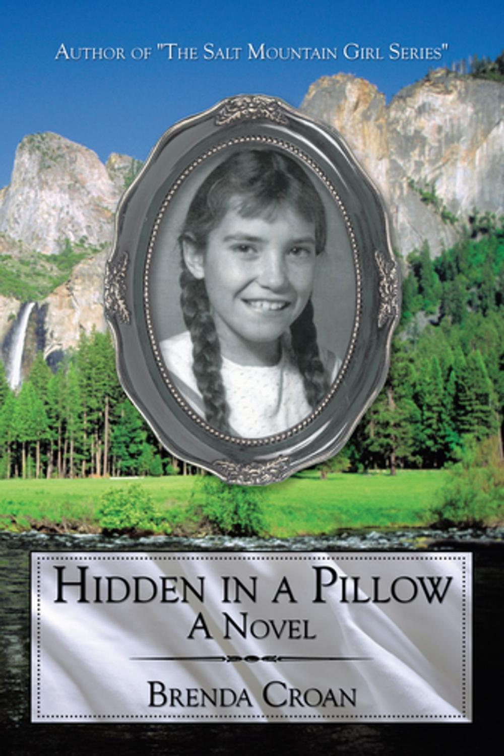 Big bigCover of Hidden in a Pillow