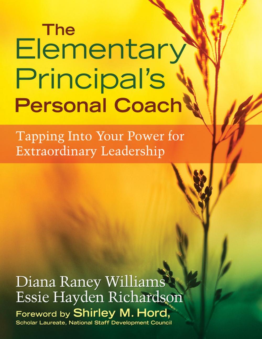 Big bigCover of The Elementary Principal’s Personal Coach