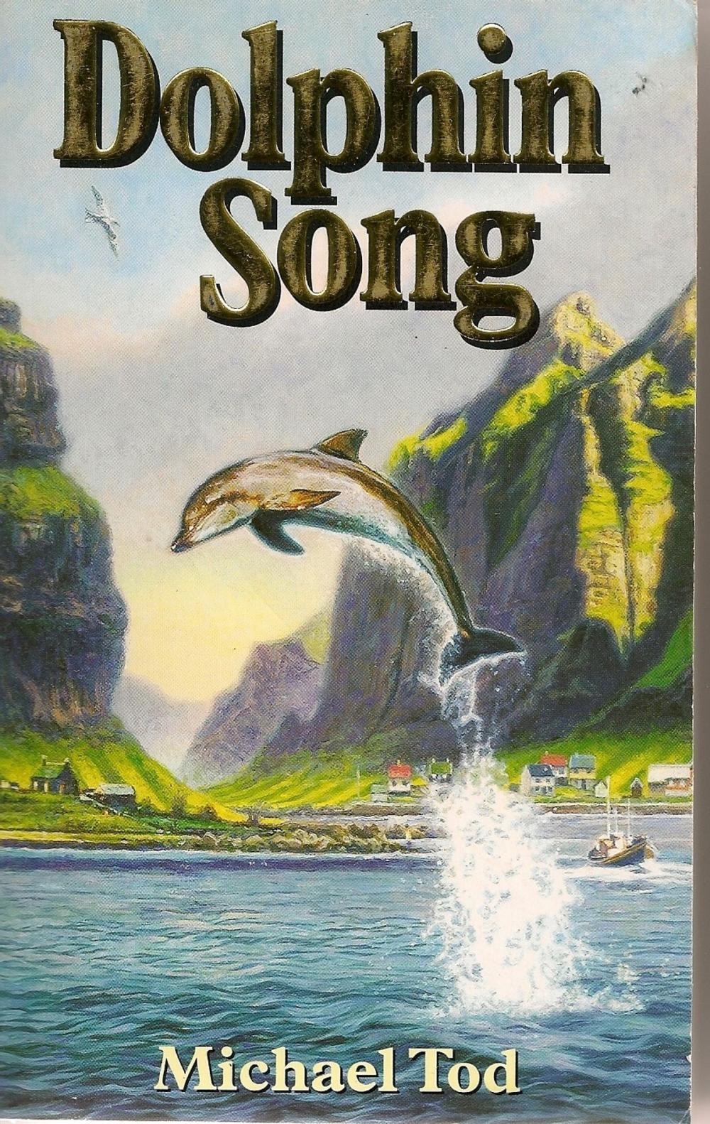 Big bigCover of Dolphin Song