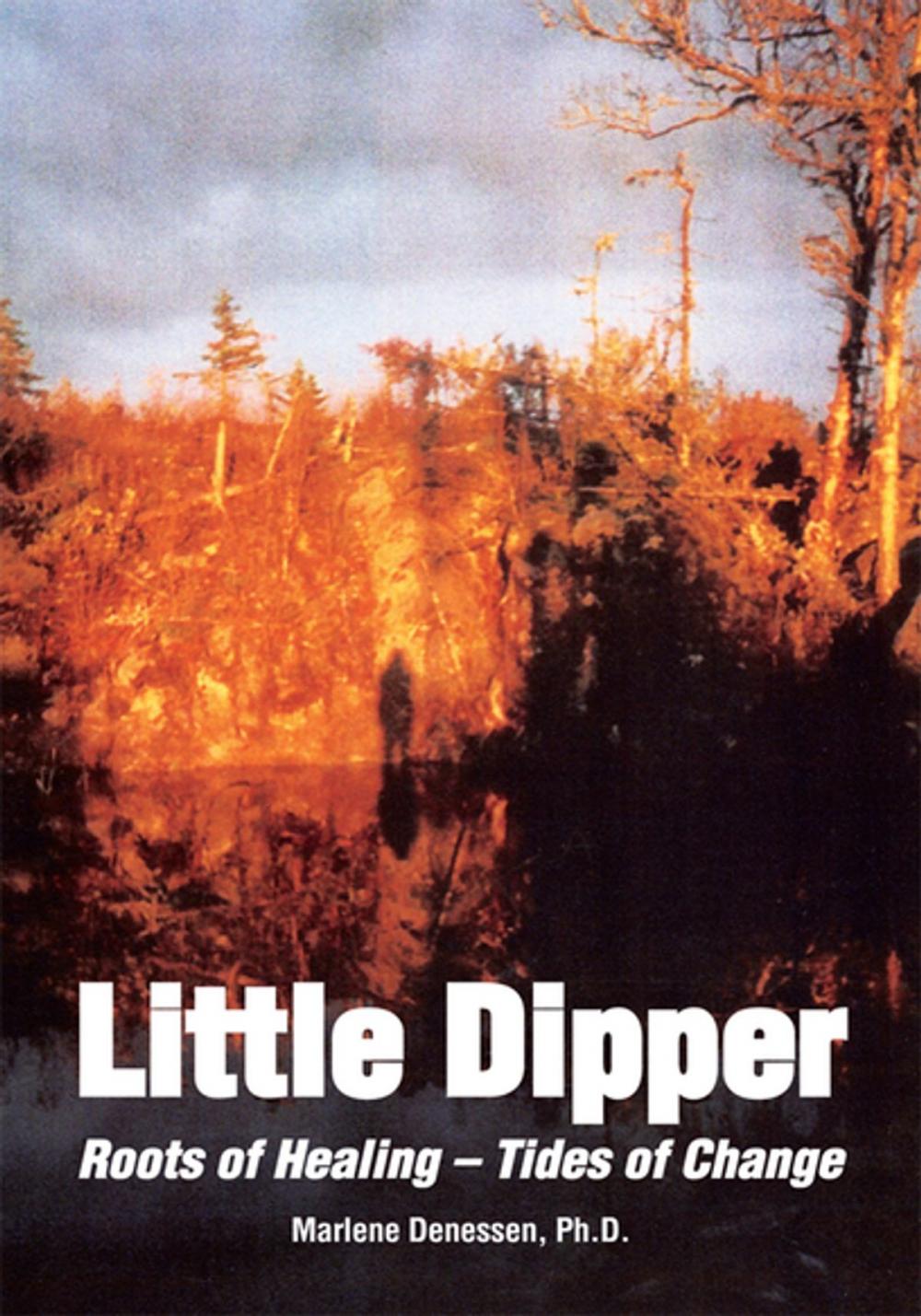 Big bigCover of Little Dipper