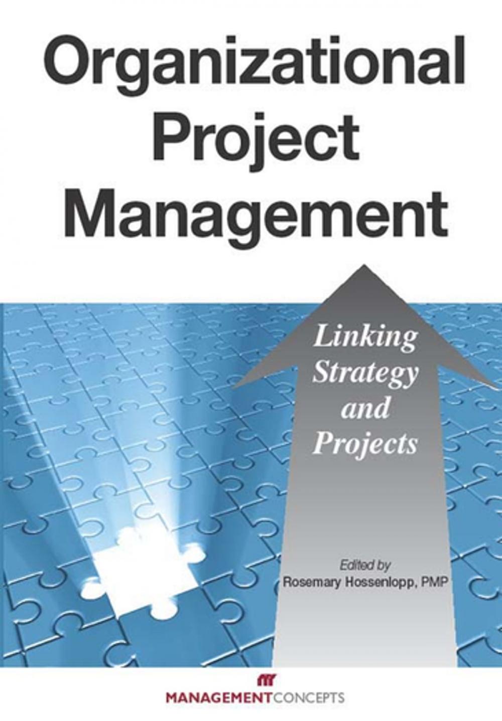 Big bigCover of Organizational Project Management