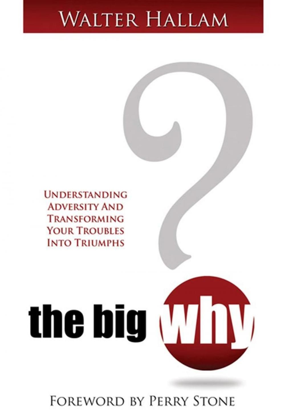 Big bigCover of Big WHY