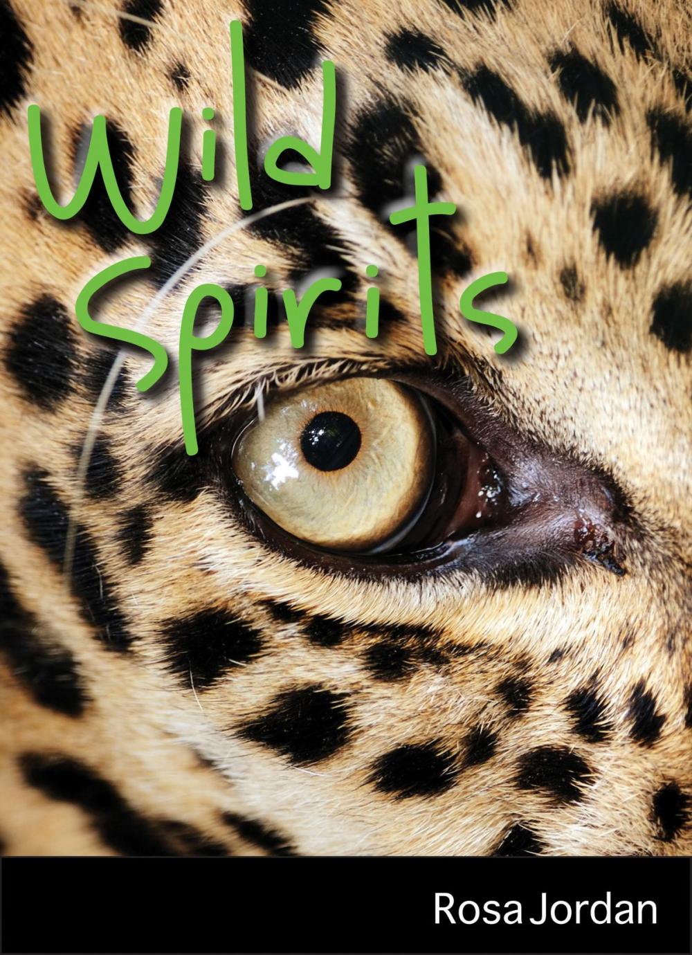 Big bigCover of Wild Spirits