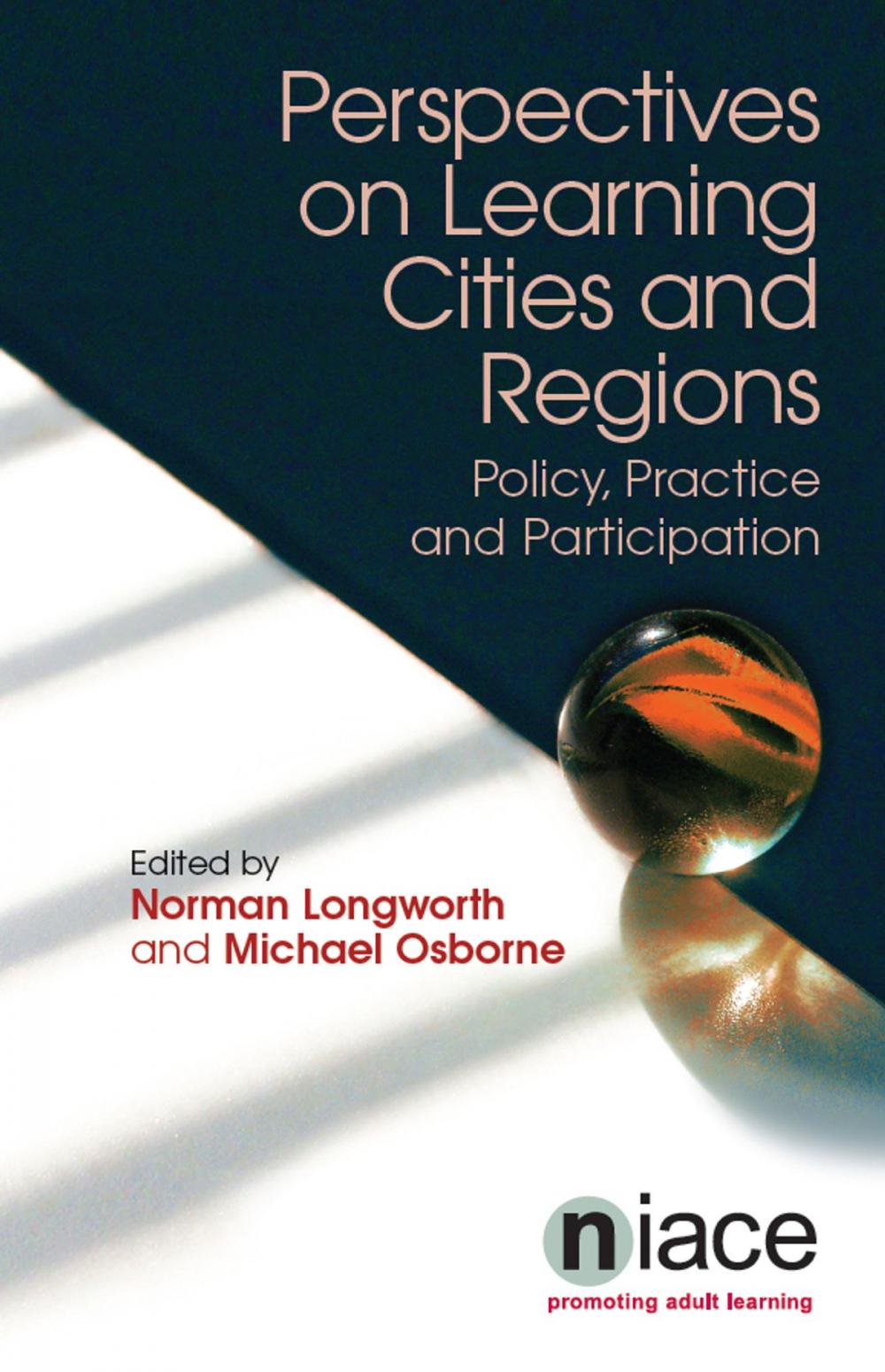 Big bigCover of Perspectives on Learning Cities and Regions: Policy, Practice and Participation