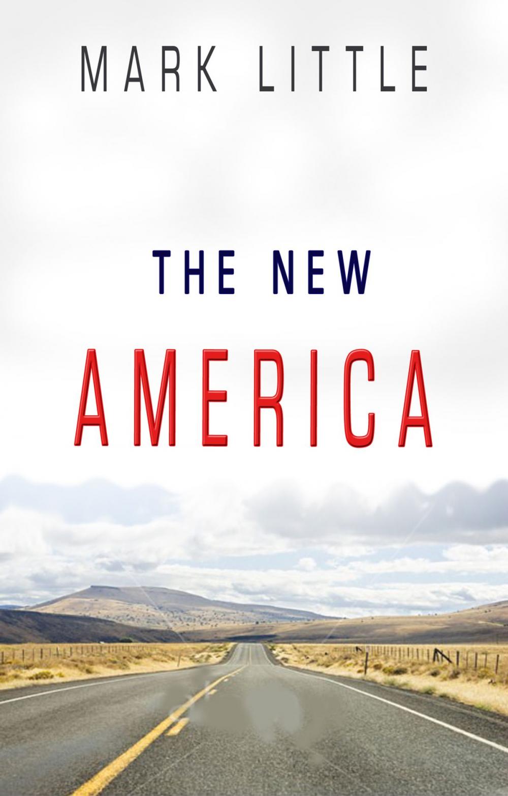 Big bigCover of The New America