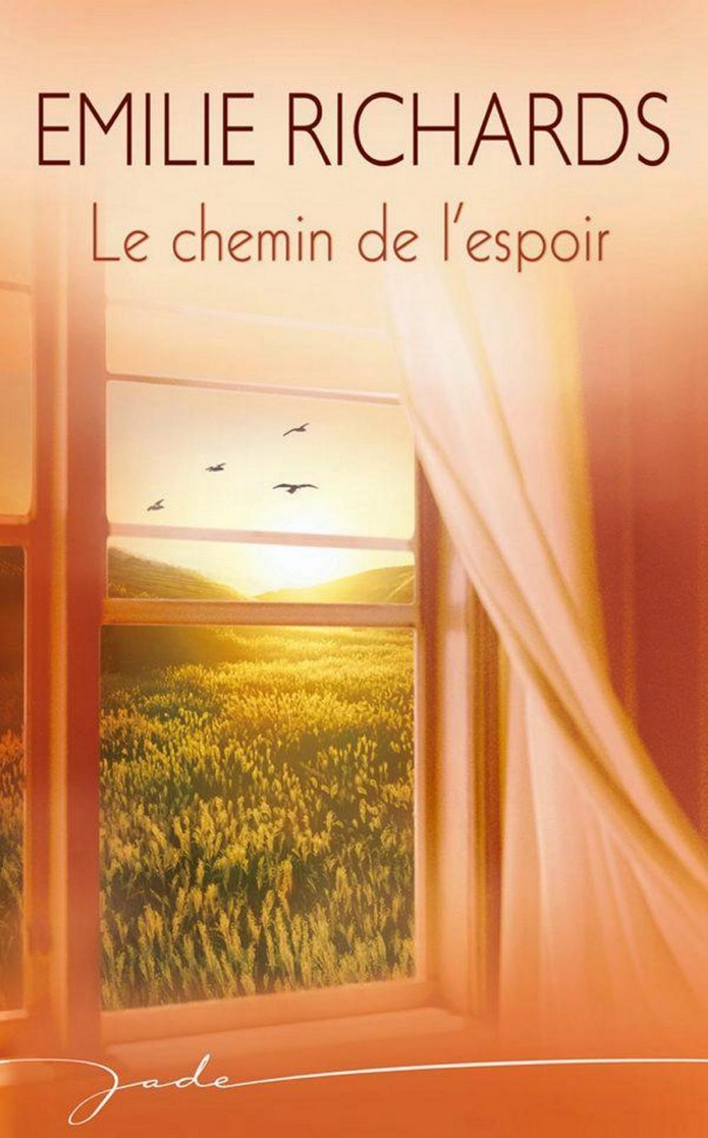 Big bigCover of Le chemin de l'espoir