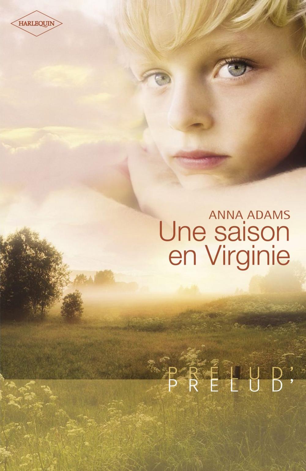 Big bigCover of Une saison en Virginie (Harlequin Prélud')