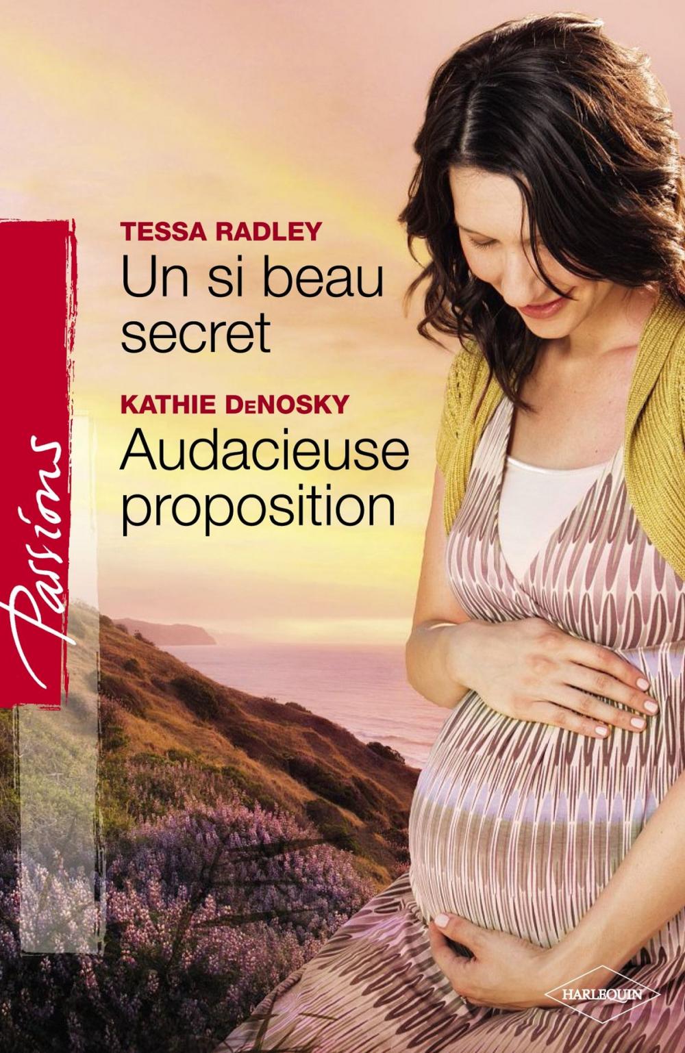 Big bigCover of Un si beau secret - Audacieuse proposition (Harlequin Passions)