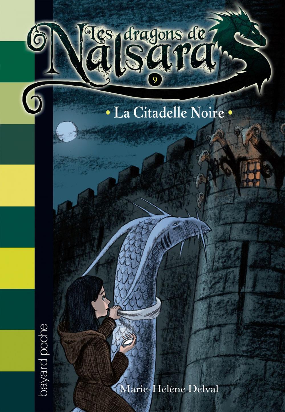 Big bigCover of Les dragons de Nalsara, Tome 9