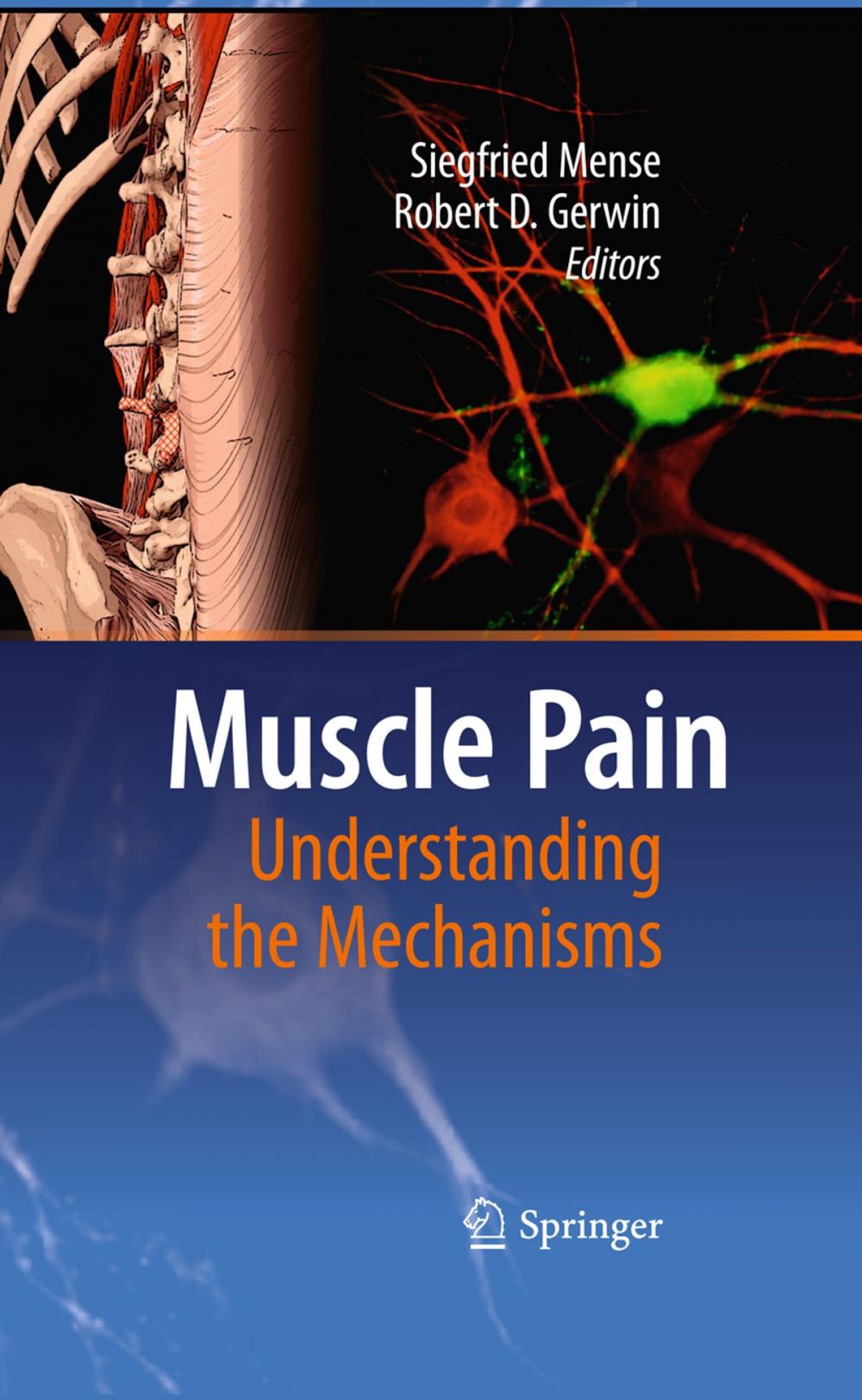 Big bigCover of Muscle Pain: Understanding the Mechanisms