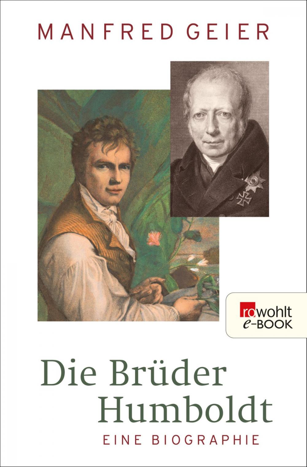 Big bigCover of Die Brüder Humboldt