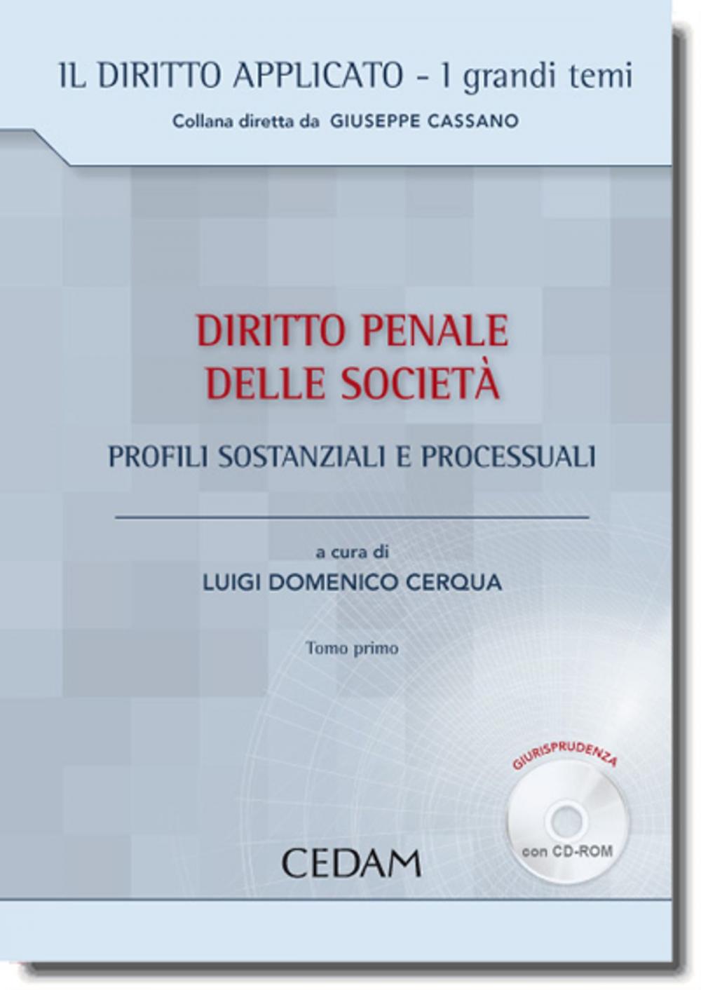 Big bigCover of Diritto penale delle società