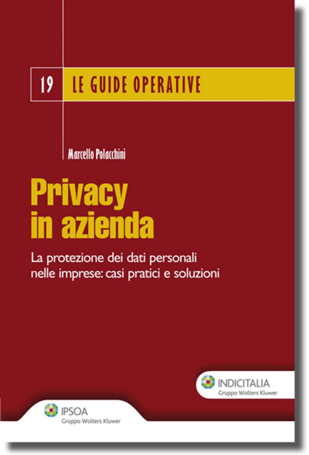 Big bigCover of Privacy in azienda