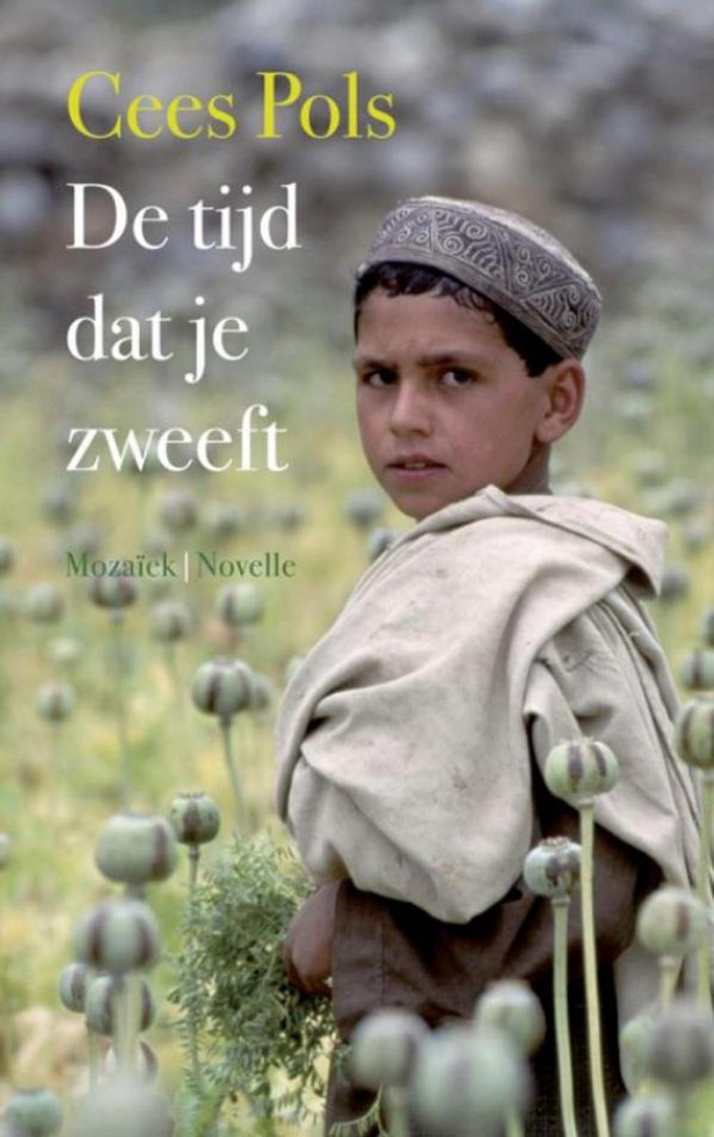 Big bigCover of De tijd dat je zweeft