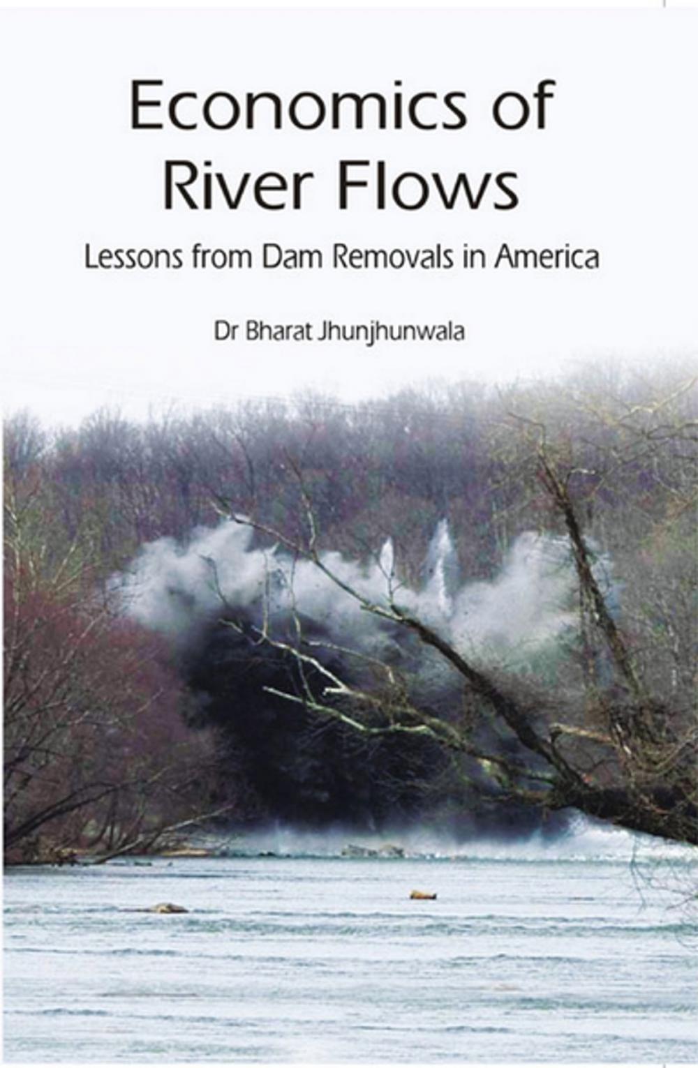 Big bigCover of Economics of River Flows