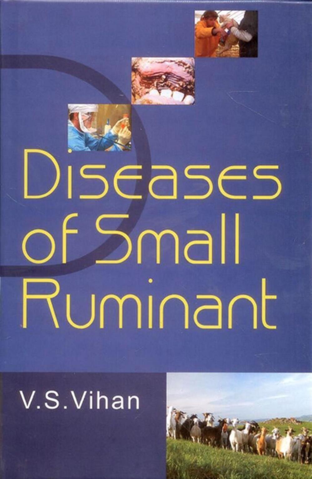 Big bigCover of Diseases of Small Ruminant