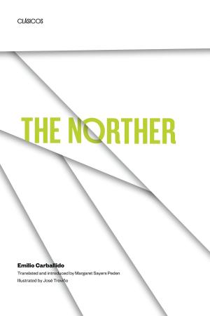 Cover of the book The Norther by Minnie Postma
