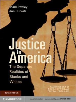 Cover of the book Justice in America by Mark Johnston