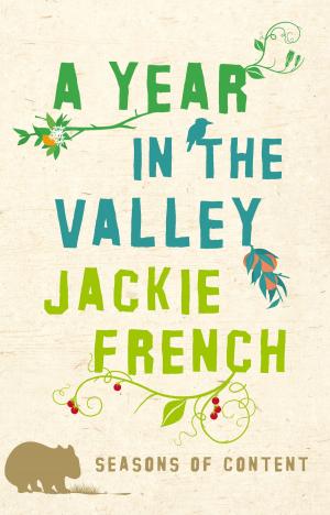 Cover of the book Year in the Valley by Oisin McGann