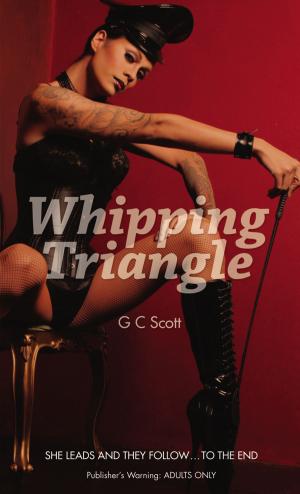 Cover of the book Whipping Triangle by Llewellyn Dowd, Phil McCracken