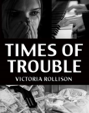 Cover of the book Times of Trouble by Vincent McKalin
