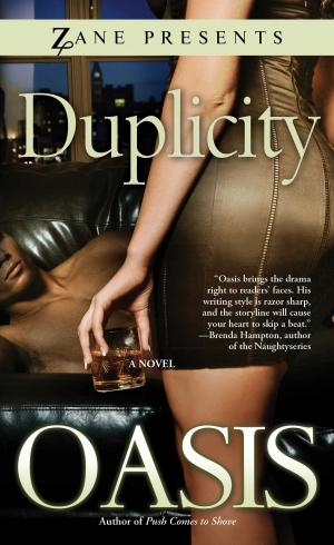 Cover of the book Duplicity by Zane