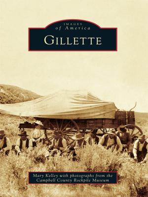 Cover of the book Gillette by Shaun Curtis