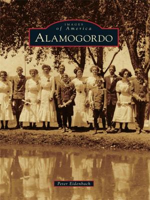 Cover of the book Alamogordo by Dan Bosserman