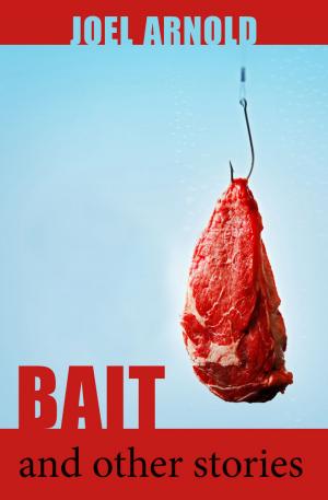 Cover of the book Bait and Other Stories by Nōnen Títi
