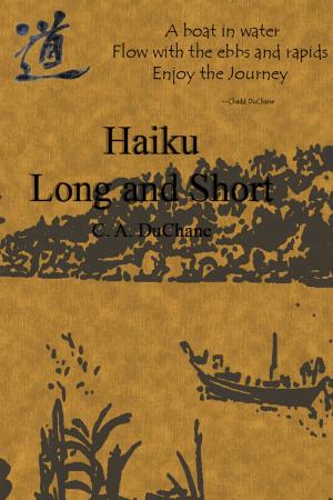Cover of the book Haiku: Long and Short by Colm Gillis